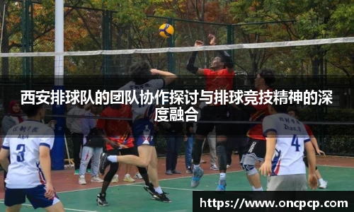 VSport胜利因您更精彩