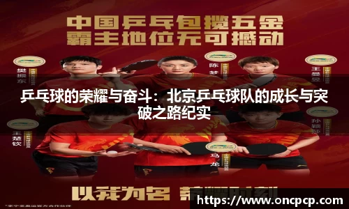 VSport胜利缘于您更精彩